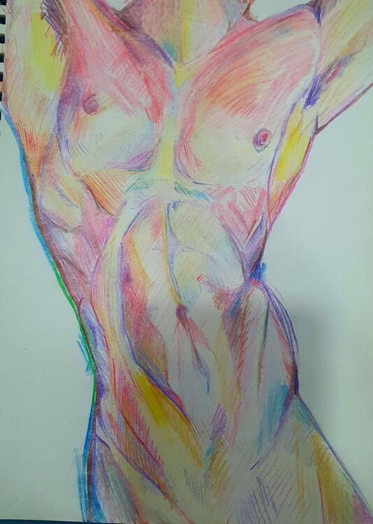 multicolor male torso study
